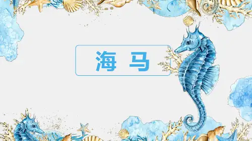 《海马》少儿彩铅美术PPT课件