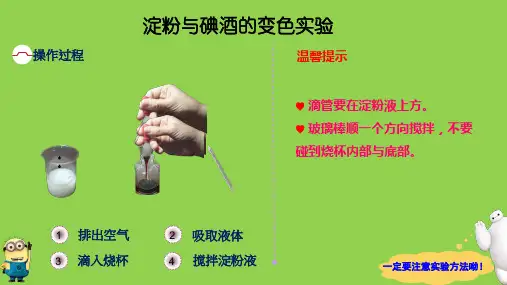 四年级下册科学课件5.21变色游戏冀教版共10张PPT
