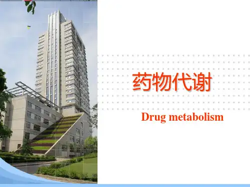 《药物代谢》ppt课件