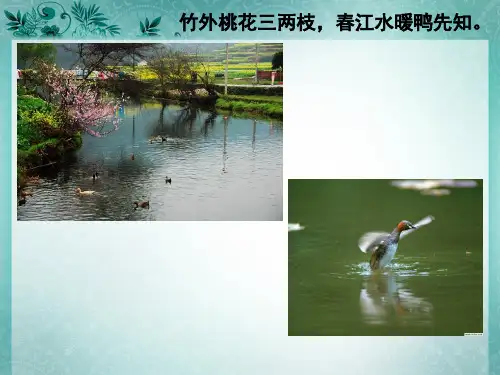 美术鉴赏  美术作品的艺术语言