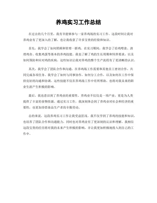 养鸡实习工作总结