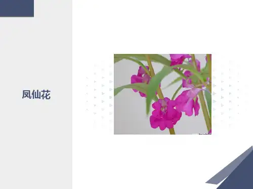 初一生物动物体的结构层次