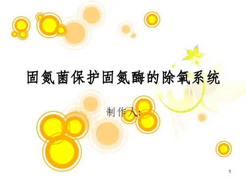 固氮菌的防氧保护机制