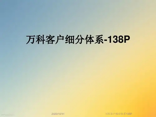万科客户细分体系138P