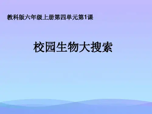 (优选)六年级科学上册4.1校园生物大搜索 PPT精品课件3教科版