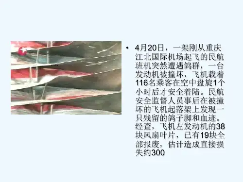 动能 PPT课件