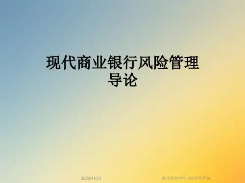 现代商业银行风险管理导论