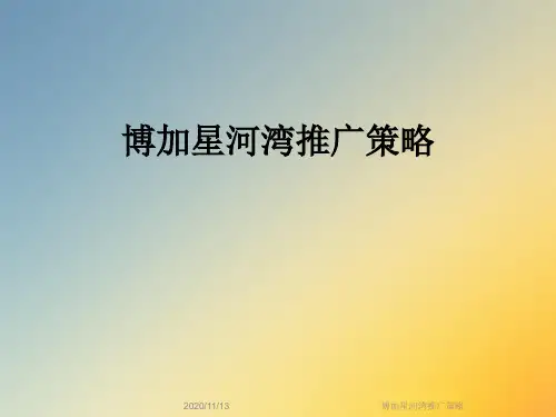 博加星河湾推广策略