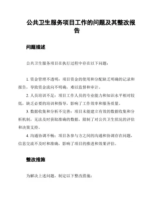公共卫生服务项目工作的问题及其整改报告