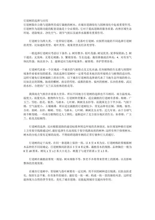 行道树的选择与应用