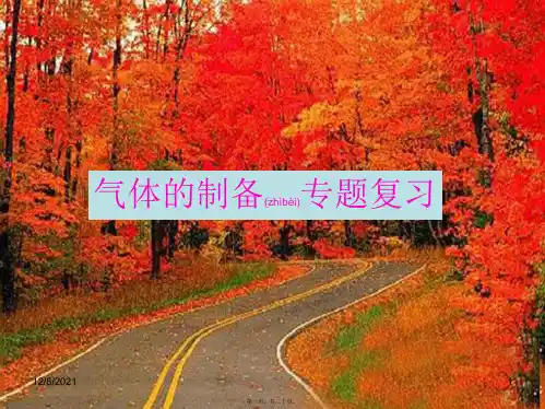 中考化学专题复习 气体的制备课件