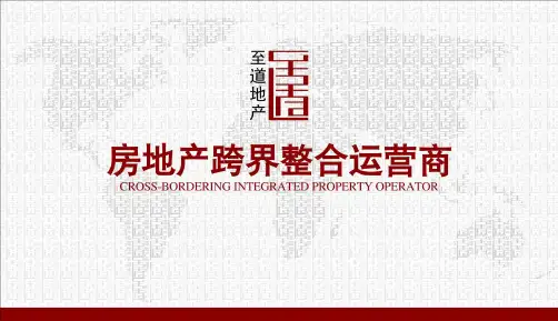 养老地产(PPT53页)