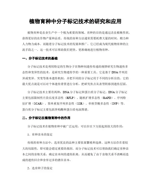 植物育种中分子标记技术的研究和应用