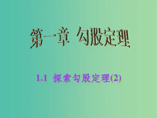 八年级数学上册 1.1 探索勾股定理课件2 (新版)北师大版