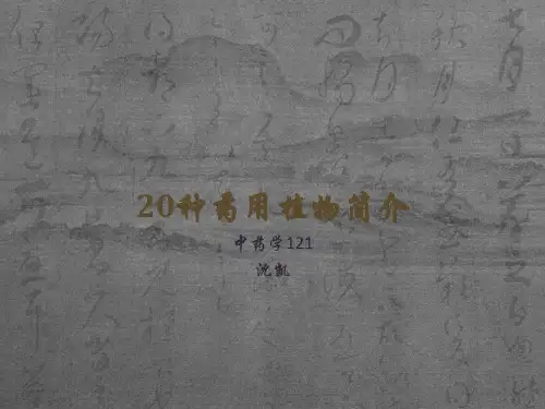 20种药用植物简介ppt课件