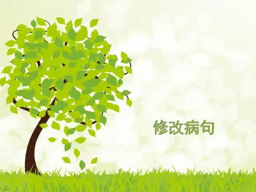 小升初之修改病句与仿写学习版.pptx