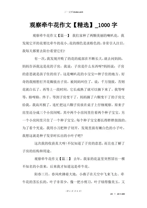 作文：观察牵牛花作文【精选】_1000字