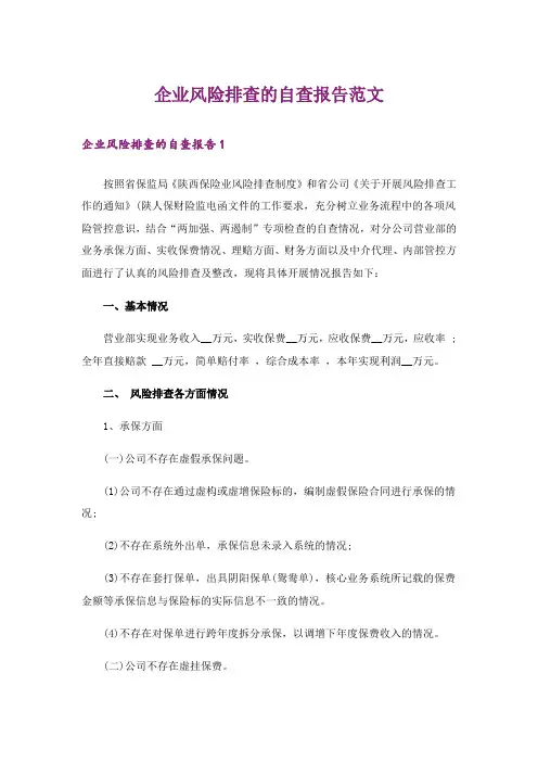 企业风险排查的自查报告范文_1