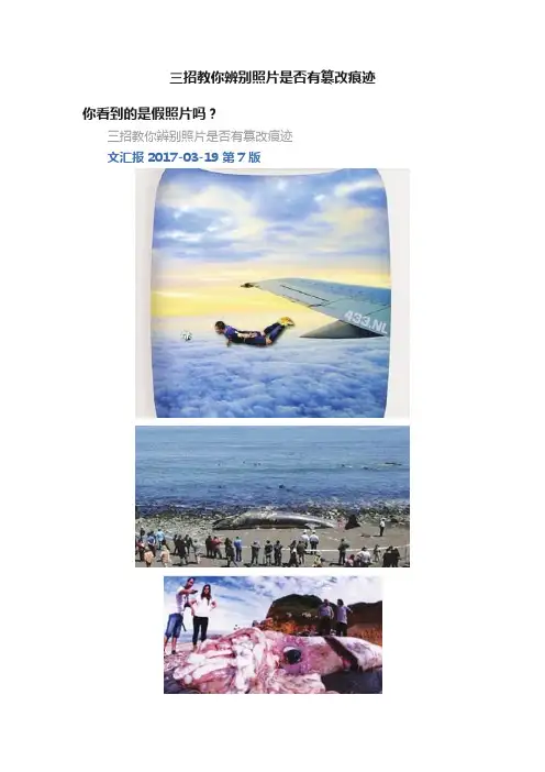 三招教你辨别照片是否有篡改痕迹
