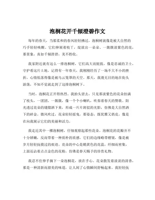 泡桐花开千倾澄碧作文