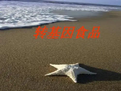 转基因食品安全问题