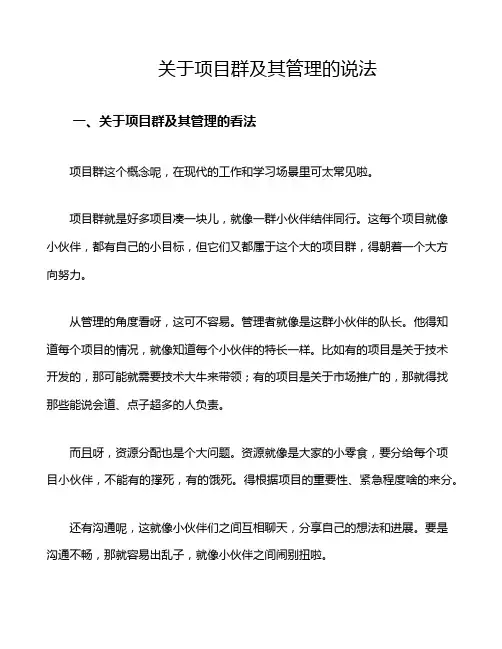 关于项目群及其管理的说法