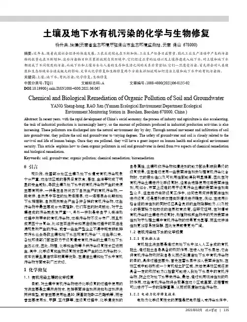 土壤及地下水有机污染的化学与生物修复
