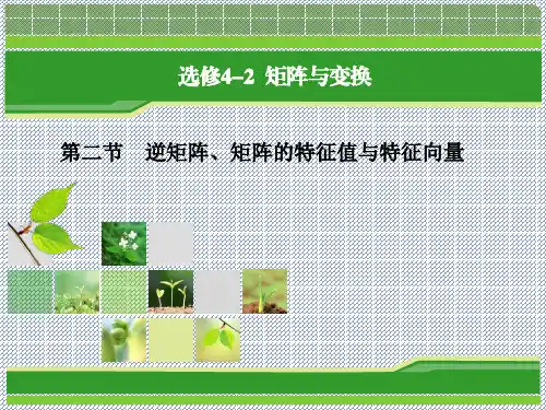 2014人教A版数学一轮复习指导课件选修4-2第2节逆矩阵、矩阵的特征值与特征向量