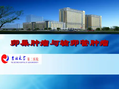 卵巢肿瘤与输卵管肿瘤医学PPT课件
