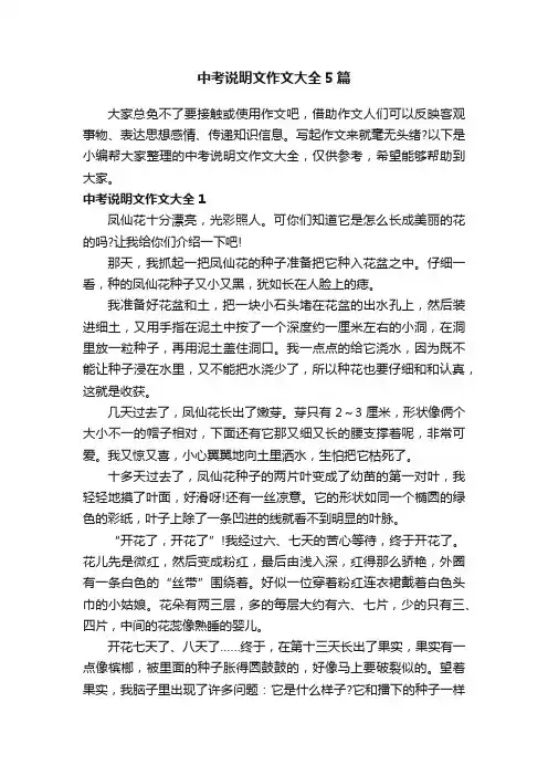 中考说明文作文大全5篇