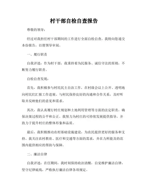 村干部自检自查报告