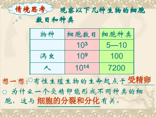 细胞分化衰老和凋亡PPT课件