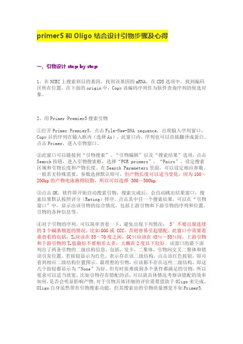 引物设计与检测全过程