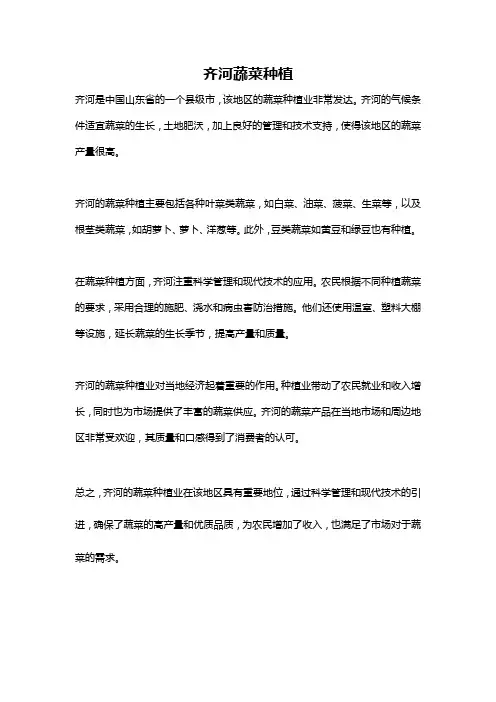 齐河蔬菜种植