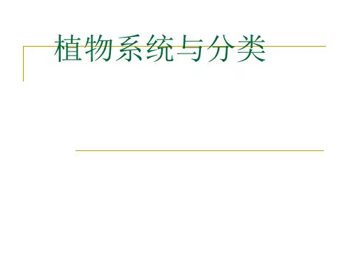 植物分类学-植物系统与分类基础知识
