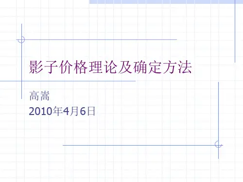 影子价格理论及确定方法