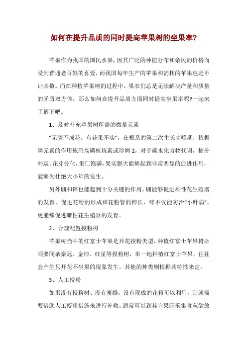 如何在提升品质的同时提高苹果树的坐果率-