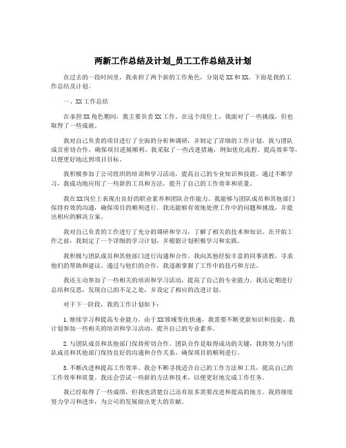 两新工作总结及计划_员工工作总结及计划