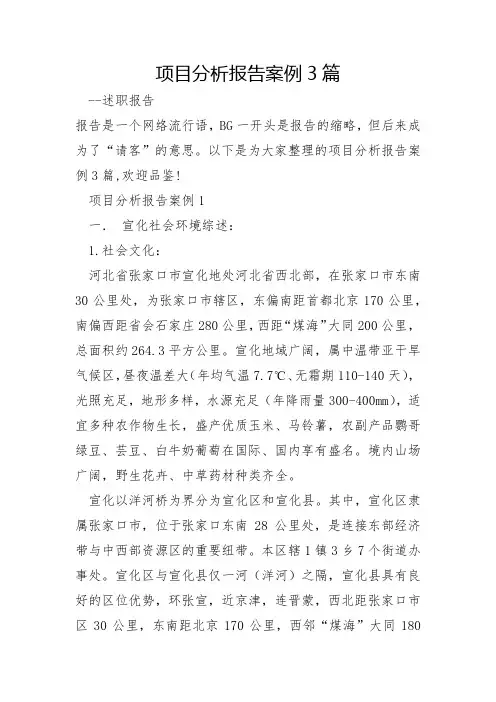 项目分析报告案例3篇