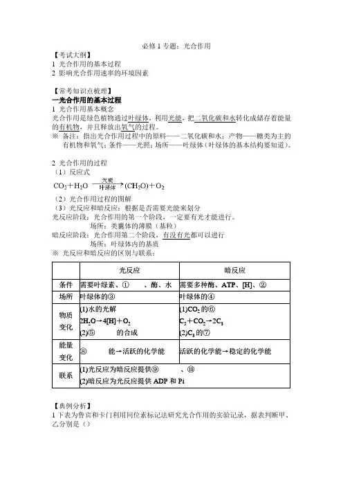 (完整版)高考生物专题光合作用知识点及专题练习