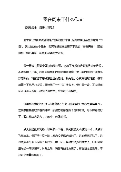 我在周末干什么作文