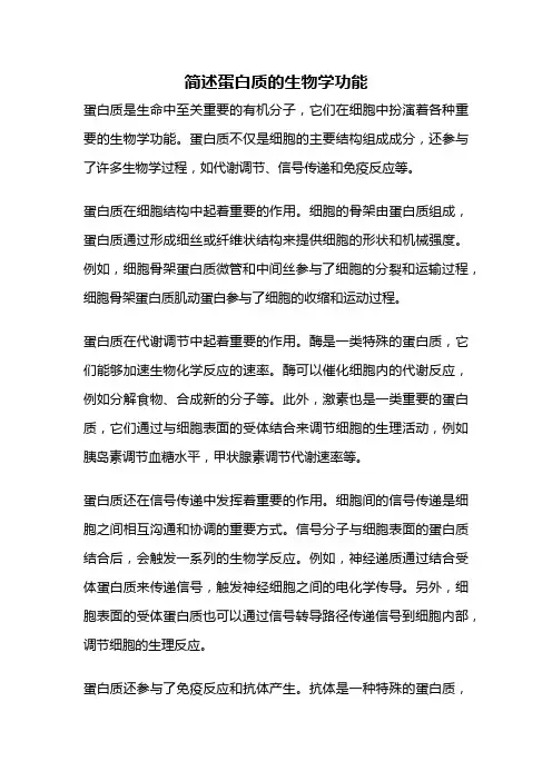 简述蛋白质的生物学功能