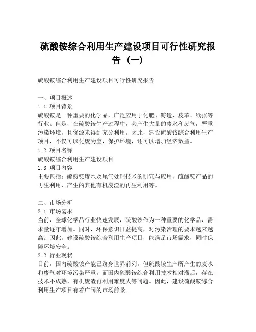 硫酸铵综合利用生产建设项目可行性研究报告 (一)