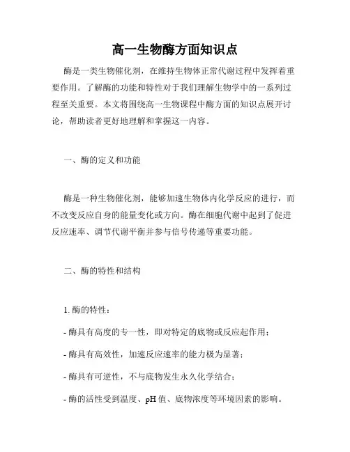 高一生物酶方面知识点