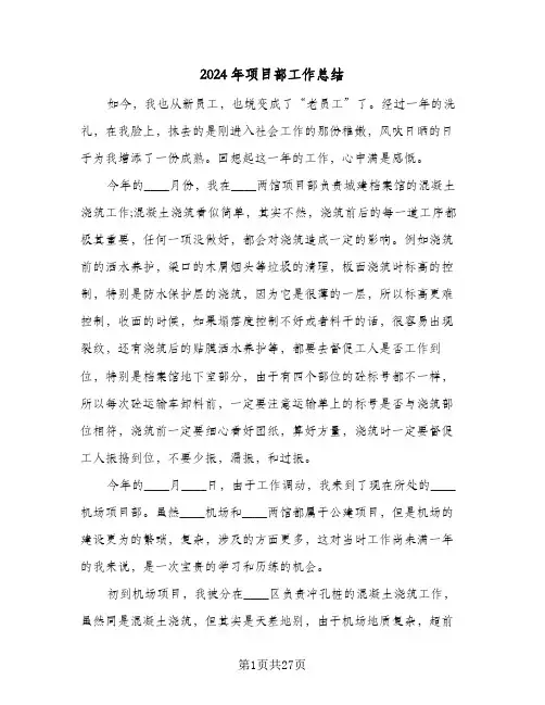 2024年项目部工作总结(7篇)