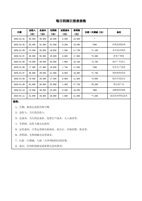 每日利润日报表表格