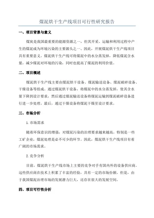 煤泥烘干生产线项目可行性研究报告