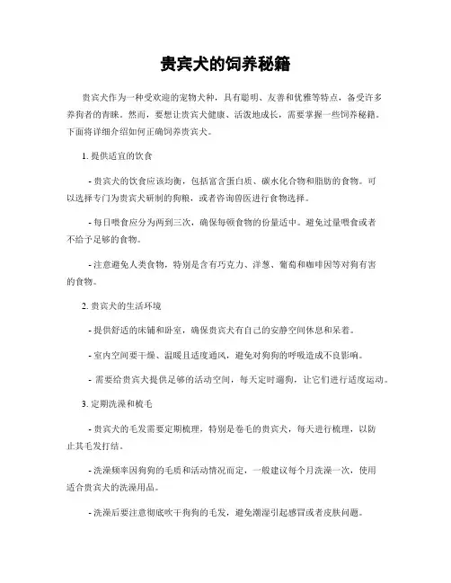 贵宾犬的饲养秘籍