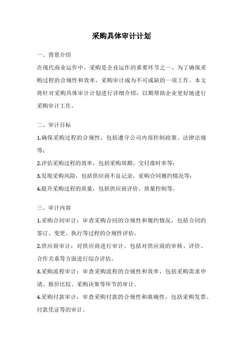采购具体审计计划