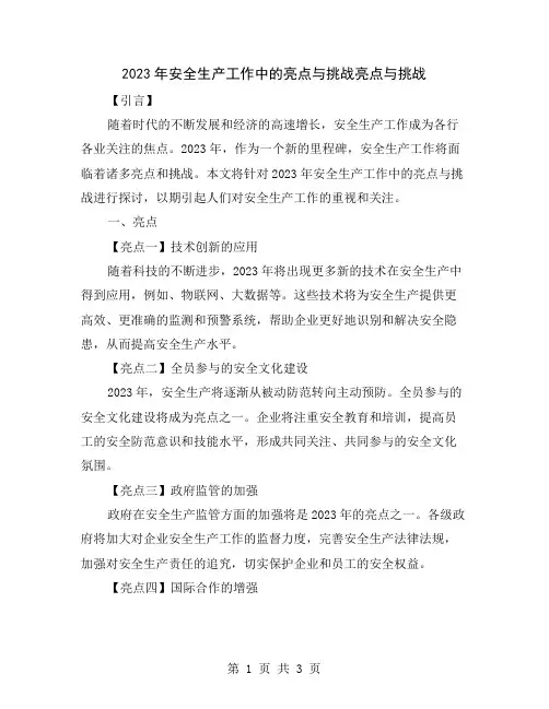 2023年安全生产工作中的亮点与挑战